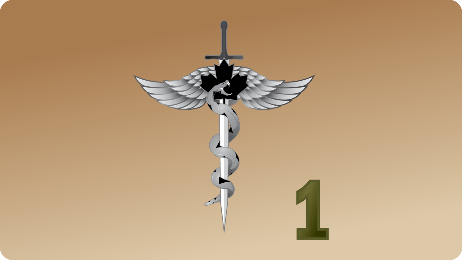 Online Tactical Medical Training - CTOMS